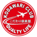 Narita Transit Tour Guide